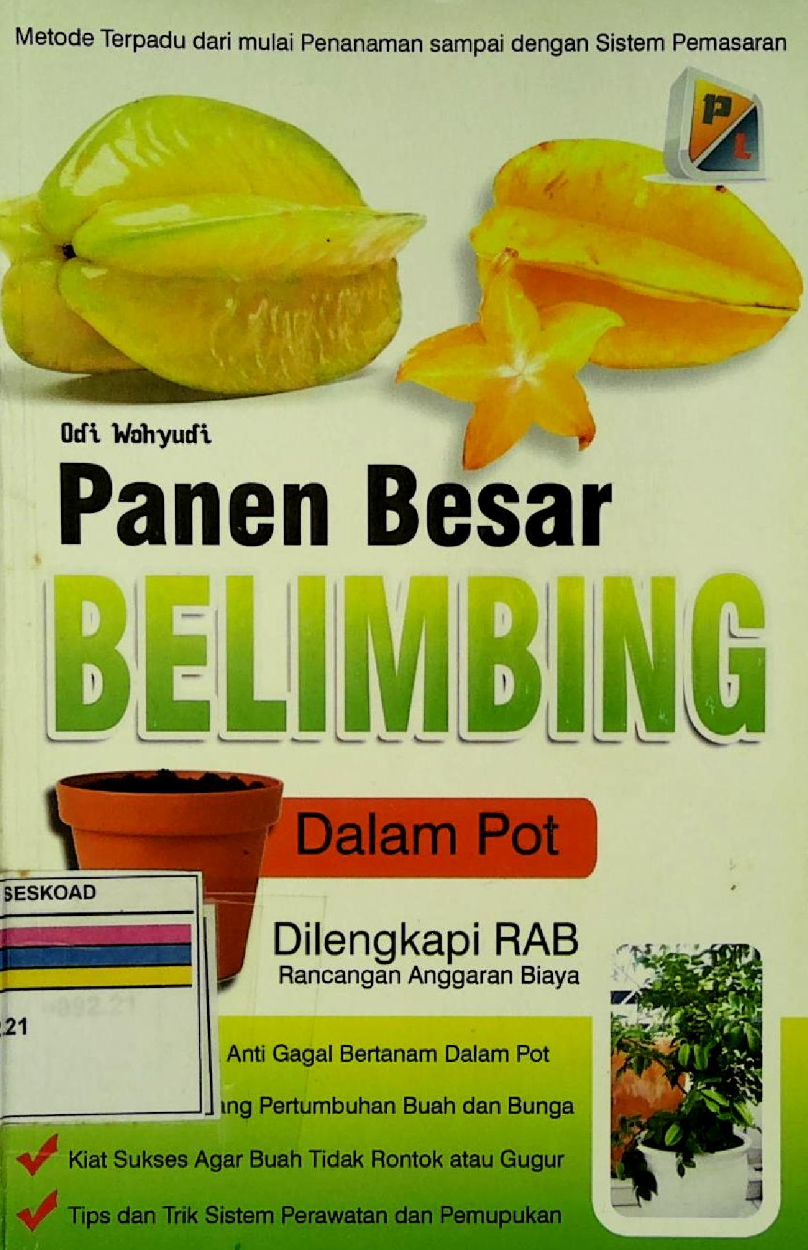 Panen Besar Belimbing Dalam Pot Dilengkapi RAB